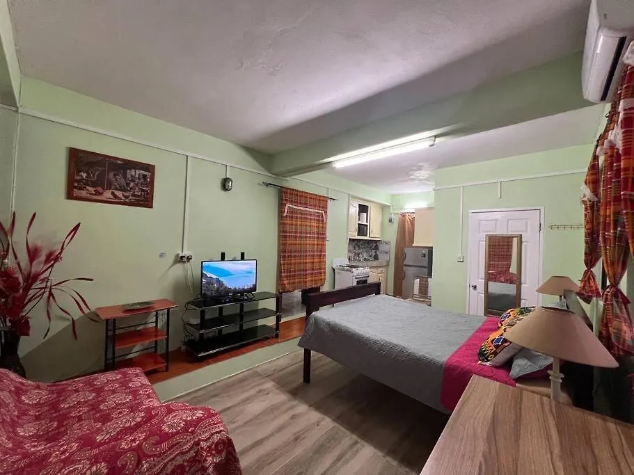 Homely Environment Studio Apt Gros Islet Appartement