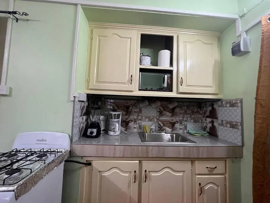Homely Environment Studio Apt Gros Islet Appartement